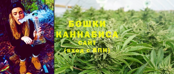 прущий лед Магас
