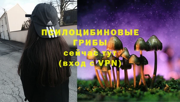 эйфоретик Магадан