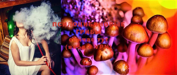 прущий лед Магас