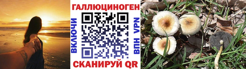 купить наркотик  Северодвинск  Галлюциногенные грибы Magic Shrooms 