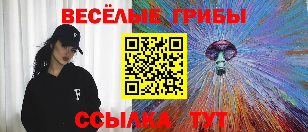 Псилоцибиновые грибы мицелий Северодвинск