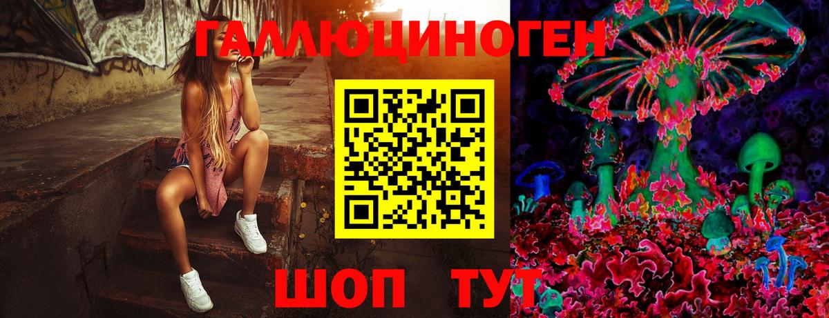 Псилоцибиновые грибы Psilocybe Северодвинск