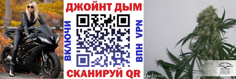 Бошки марихуана план  купить наркотик  Северодвинск 
